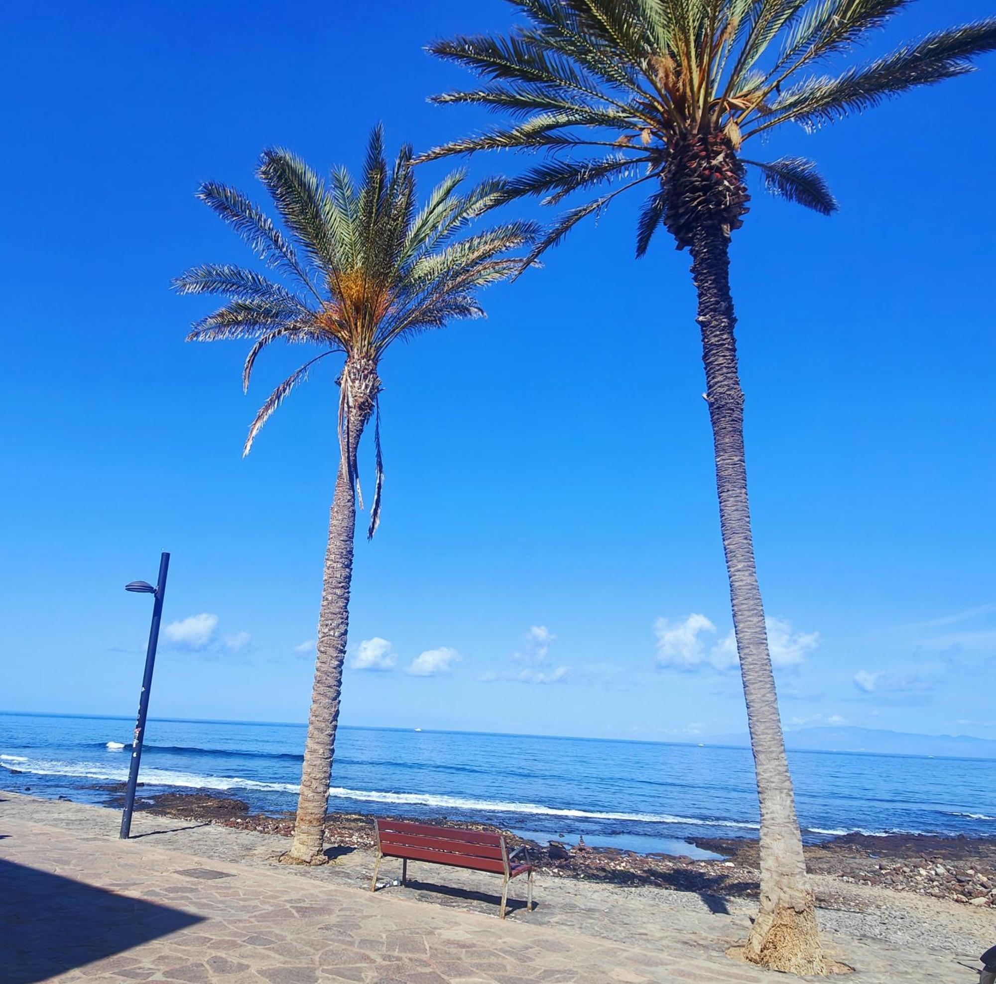 Parque Santiago 2 En Playa De Las Americas Arona  Luaran gambar